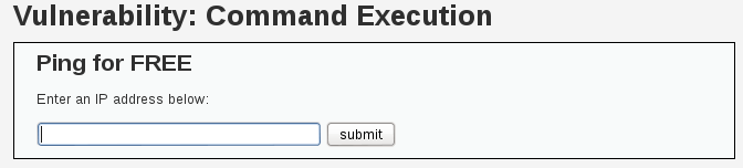 Command Execution